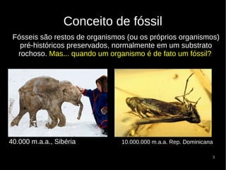 3
Conceito de fóssil
40.000 m.a.a., Sibéria 10.000.000 m.a.a. Rep. Dominicana
Fósseis são restos de organismos (ou os próprios organismos)
pré-históricos preservados, normalmente em um substrato
rochoso. Mas... quando um organismo é de fato um fóssil?
 