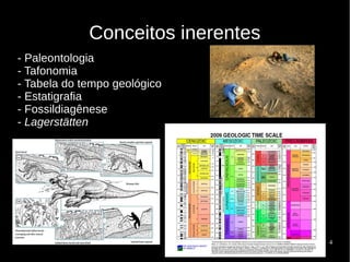4
Conceitos inerentes
- Paleontologia
- Tafonomia
- Tabela do tempo geológico
- Estatigrafia
- Fossildiagênese
- Lagerstätten
 