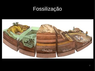 7
Fossilização
 