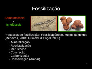 8
Fossilização
Somatofósseis
x
Icnofósseis
Processos de fossilização: Fossildiagênese, muitos contextos
(Medeiros, 2004; Grimaldi & Engel, 2005)
- Mineralização
- Recristalização
- Incrustação
- Concreção
- Carbonização
- Conservação (Ambar)
 
