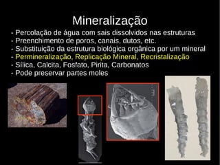 9
Mineralização
- Percolação de água com sais dissolvidos nas estruturas
- Preenchimento de poros, canais, dutos, etc.
- Substituição da estrutura biológica orgânica por um mineral
- Permineralização, Replicação Mineral, Recristalização
- Sílica, Calcita, Fosfato, Pirita, Carbonatos
- Pode preservar partes moles
 