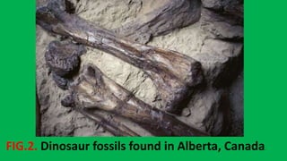 FIG.2. Dinosaur fossils found in Alberta, Canada.
 