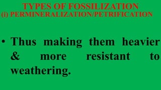 TYPES OF FOSSILIZATION
(i) PERMINERALIZATION/PETRIFICATION
• Thus making them heavier
& more resistant to
weathering.
 