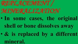 REPLACEMENT /
MINERALIZATION
• In some cases, the original
shell or bone dissolves away
• & is replaced by a different
mineral.
 