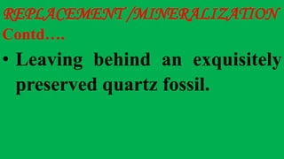 REPLACEMENT /MINERALIZATION
Contd….
• Leaving behind an exquisitely
preserved quartz fossil.
 