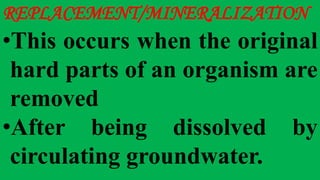 REPLACEMENT/MINERALIZATION
•This occurs when the original
hard parts of an organism are
removed
•After being dissolved by
circulating groundwater.
 