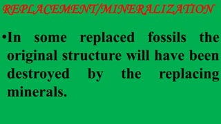 REPLACEMENT/MINERALIZATION
•In some replaced fossils the
original structure will have been
destroyed by the replacing
minerals.
 