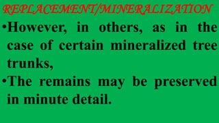 REPLACEMENT/MINERALIZATION
•However, in others, as in the
case of certain mineralized tree
trunks,
•The remains may be preserved
in minute detail.
 