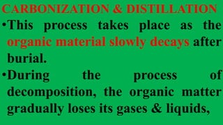 CARBONIZATION & DISTILLATION
•This process takes place as the
organic material slowly decays after
burial.
•During the process of
decomposition, the organic matter
gradually loses its gases & liquids,
 