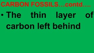 CARBON FOSSILS…contd….
• The thin layer of
carbon left behind
 