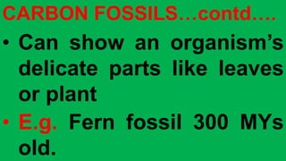 CARBON FOSSILS…contd….
• Can show an organism’s
delicate parts like leaves
or plant
• E.g. Fern fossil 300 MYs
old.
 