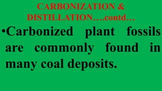 CARBONIZATION &
DISTILLATION….contd…
•Carbonized plant fossils
are commonly found in
many coal deposits.
 