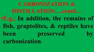 CARBONIZATION &
DISTILLATION….contd…
•E.g., In addition, the remains of
fish, graptolites, & reptiles have
been preserved by
carbonization.
 
