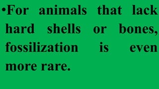•For animals that lack
hard shells or bones,
fossilization is even
more rare.
 