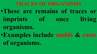 TRACES OF ORGANISMS
•These are remains of traces or
imprints of once living
organisms.
•Examples include molds & casts
of organisms.
 