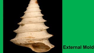 External Mold
 
