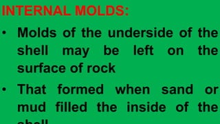 INTERNAL MOLDS:
• Molds of the underside of the
shell may be left on the
surface of rock
• That formed when sand or
mud filled the inside of the
 