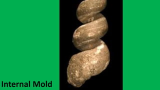 Internal Mold
 