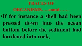 TRACES OF
ORGANISMS…..contd……
•If for instance a shell had been
pressed down into the ocean
bottom before the sediment had
hardened into rock,
 