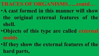 TRACES OF ORGANISMS…..contd…
•A cast formed in this manner will show
the original external features of the
shell.
•Objects of this type are called external
molds
•If they show the external features of the
hard parts,
 