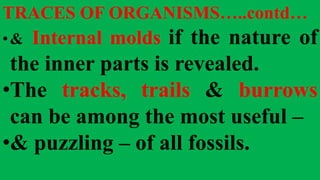 TRACES OF ORGANISMS…..contd…
•& Internal molds if the nature of
the inner parts is revealed.
•The tracks, trails & burrows
can be among the most useful –
•& puzzling – of all fossils.
 