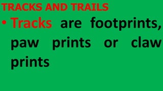 TRACKS AND TRAILS
• Tracks are footprints,
paw prints or claw
prints
 