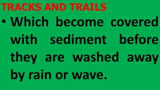 TRACKS AND TRAILS
• Which become covered
with sediment before
they are washed away
by rain or wave.
 