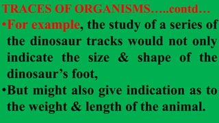 TRACES OF ORGANISMS…..contd…
•For example, the study of a series of
the dinosaur tracks would not only
indicate the size & shape of the
dinosaur’s foot,
•But might also give indication as to
the weight & length of the animal.
 