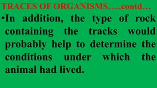 TRACES OF ORGANISMS…..contd…
•In addition, the type of rock
containing the tracks would
probably help to determine the
conditions under which the
animal had lived.
 