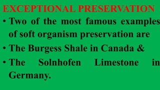 EXCEPTIONAL PRESERVATION
• Two of the most famous examples
of soft organism preservation are
• The Burgess Shale in Canada &
• The Solnhofen Limestone in
Germany.
 