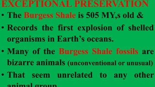 EXCEPTIONAL PRESERVATION
• The Burgess Shale is 505 MY,s old &
• Records the first explosion of shelled
organisms in Earth’s oceans.
• Many of the Burgess Shale fossils are
bizarre animals (unconventional or unusual)
• That seem unrelated to any other
 