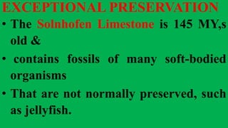 EXCEPTIONAL PRESERVATION
• The Solnhofen Limestone is 145 MY,s
old &
• contains fossils of many soft-bodied
organisms
• That are not normally preserved, such
as jellyfish.
 