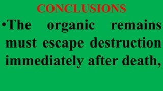CONCLUSIONS
•The organic remains
must escape destruction
immediately after death,
 