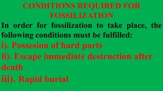 CONDITIONS REQUIRED FOR
FOSSILIZATION
In order for fossilization to take place, the
following conditions must be fulfilled:
i). Possesion of hard parts
ii). Escape immediate destruction after
death
iii). Rapid burial
 