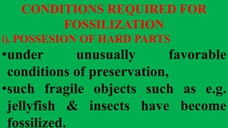 CONDITIONS REQUIRED FOR
FOSSILIZATION
i). POSSESION OF HARD PARTS
•under unusually favorable
conditions of preservation,
•such fragile objects such as e.g.
jellyfish & insects have become
fossilized.
 