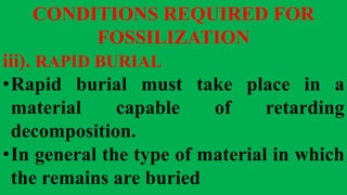 CONDITIONS REQUIRED FOR
FOSSILIZATION
iii). RAPID BURIAL
•Rapid burial must take place in a
material capable of retarding
decomposition.
•In general the type of material in which
the remains are buried
 