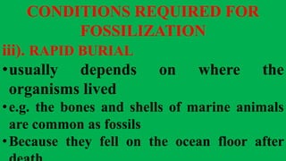 CONDITIONS REQUIRED FOR
FOSSILIZATION
iii). RAPID BURIAL
•usually depends on where the
organisms lived
•e.g. the bones and shells of marine animals
are common as fossils
•Because they fell on the ocean floor after
 