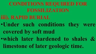 CONDITIONS REQUIRED FOR
FOSSILIZATION
iii). RAPID BURIAL
•Under such conditions they were
covered by soft mud
•which later hardened to shales &
limestone of later geologic time.
 