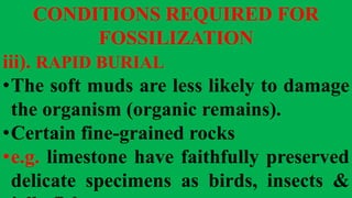 CONDITIONS REQUIRED FOR
FOSSILIZATION
iii). RAPID BURIAL
•The soft muds are less likely to damage
the organism (organic remains).
•Certain fine-grained rocks
•e.g. limestone have faithfully preserved
delicate specimens as birds, insects &
 