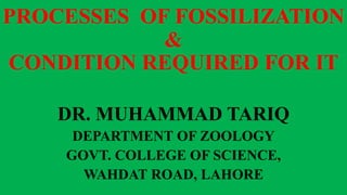PROCESSES OF FOSSILIZATION
&
CONDITION REQUIRED FOR IT
DR. MUHAMMAD TARIQ
DEPARTMENT OF ZOOLOGY
GOVT. COLLEGE OF SCIENCE,
WAHDAT ROAD, LAHORE
 
