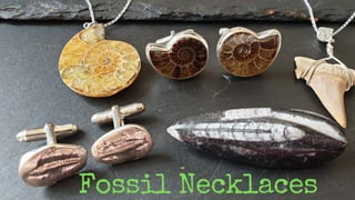 Fossil Necklaces
 