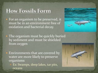  For an organism to be preserved, it
must be in an environment free of
oxidation and bacterial decay.
 The organism must be quickly buried
by sediment and must be shielded
from oxygen
 Environments that are covered by
water are more likely to preserve
organisms
 Ex: Swamps, deep lakes, tar pits,
oceans
 