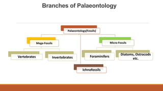 Branches of Palaeontology
Palaeontology(Fossils)
Mega-Fossils
Vertebrates Invertebrates
Micro-Fossils
Foraminifers
Diatoms, Ostracods
etc.
Ichnofossils
 