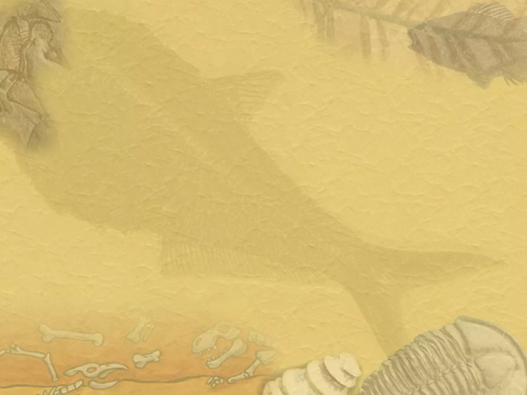 Fossil Record Debate