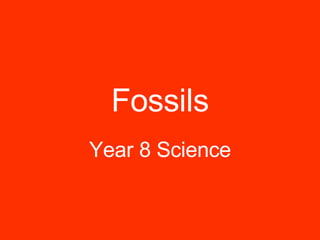 Fossils Year 8 Science 