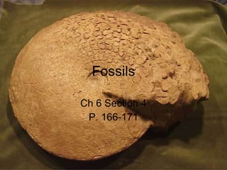 Fossils Ch 6 Section 4 P. 166-171 