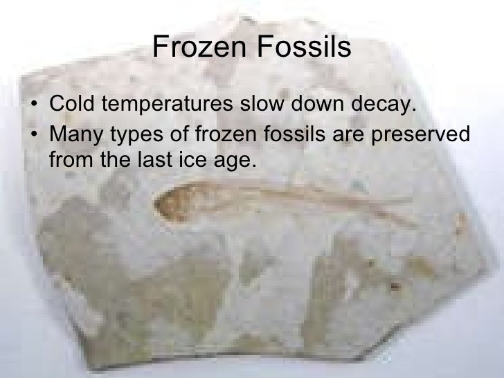 Fossils