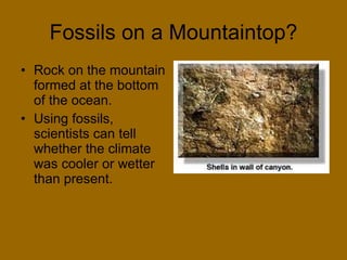 Fossils on a Mountaintop? Rock on the mountain formed at the bottom of the ocean. Using fossils, scientists can tell whether the climate was cooler or wetter than present. 