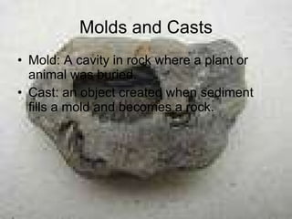 Molds and Casts Mold: A cavity in rock where a plant or animal was buried. Cast: an object created when sediment fills a mold and becomes a rock. 