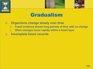 Gradualism Organisms change slowly over time Fossil evidence shows long periods of time with no change Often changes occur rapidly within a fossil layer Incomplete fossil records 163 